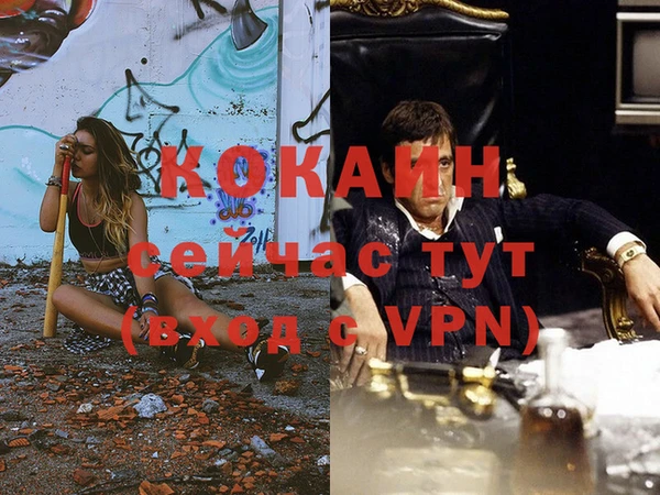 дживик Абаза