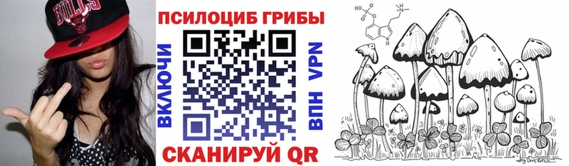 kraken   Тольятти  Галлюциногенные грибы Psilocybine cubensis 